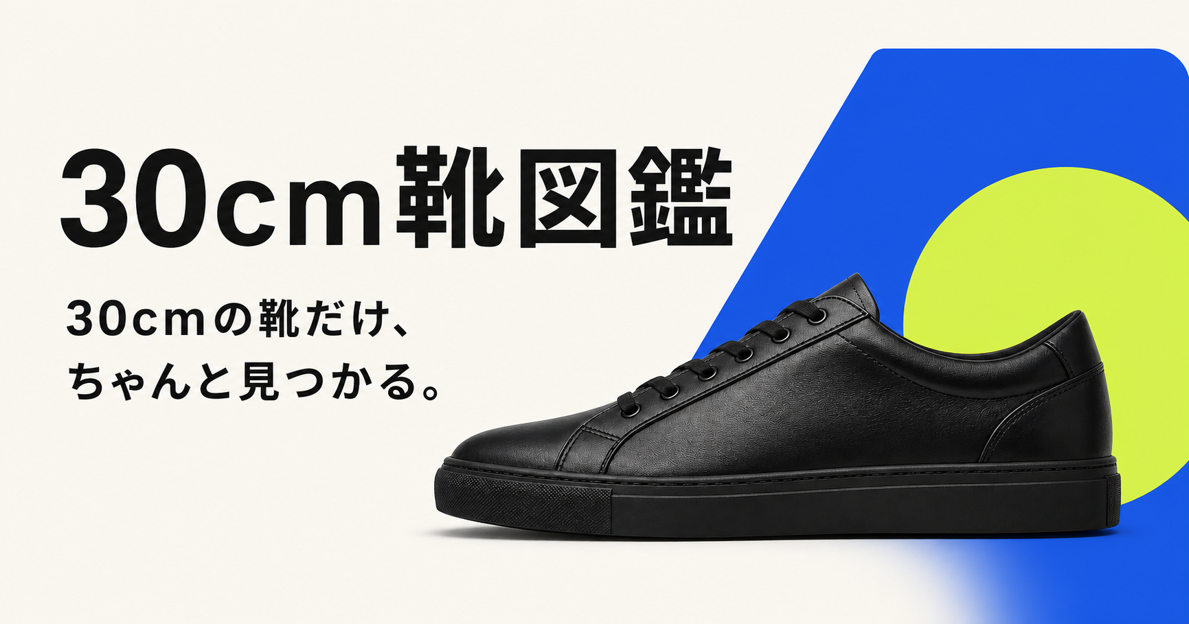 30cm靴図鑑